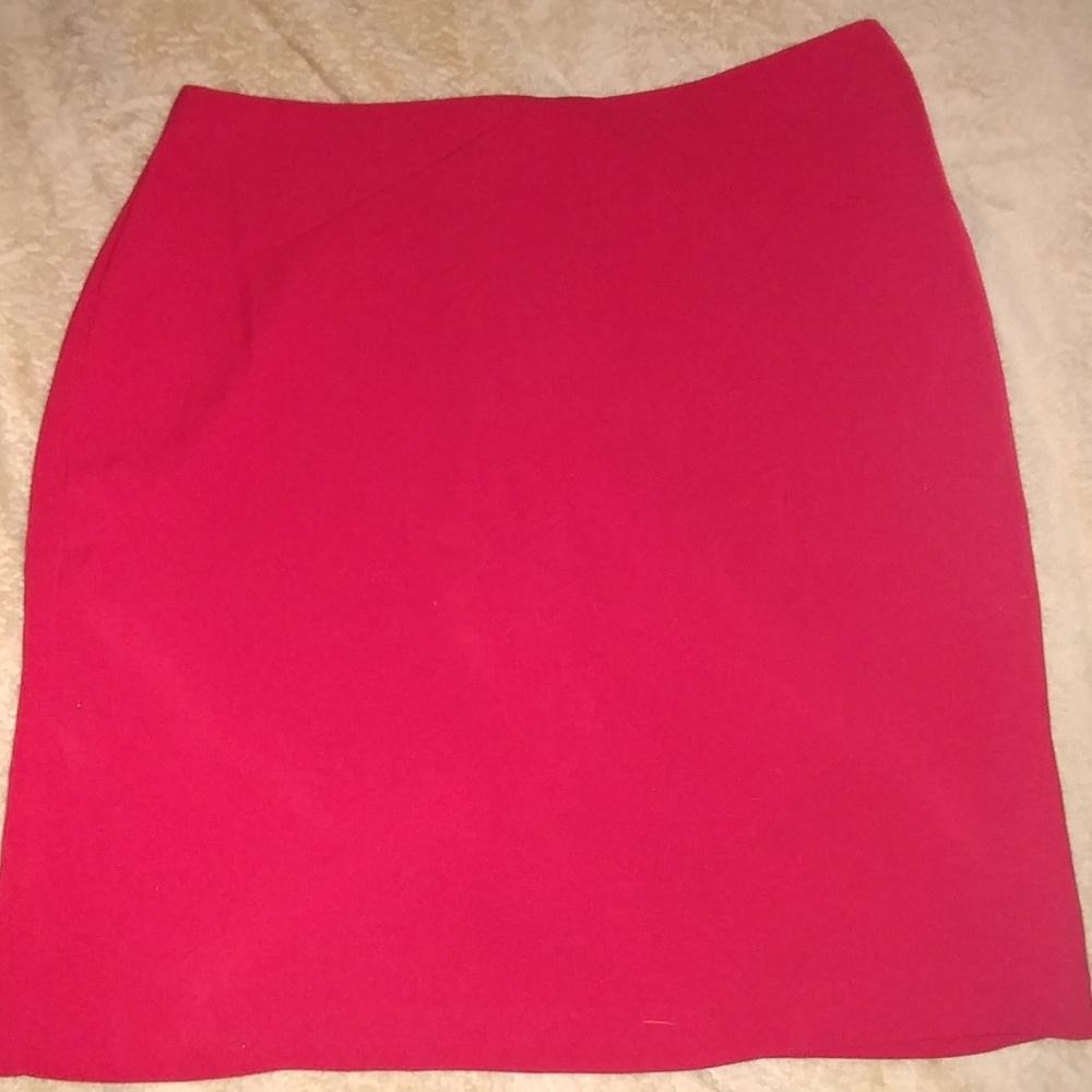 Women's A Line Skirt  Great for work wear!